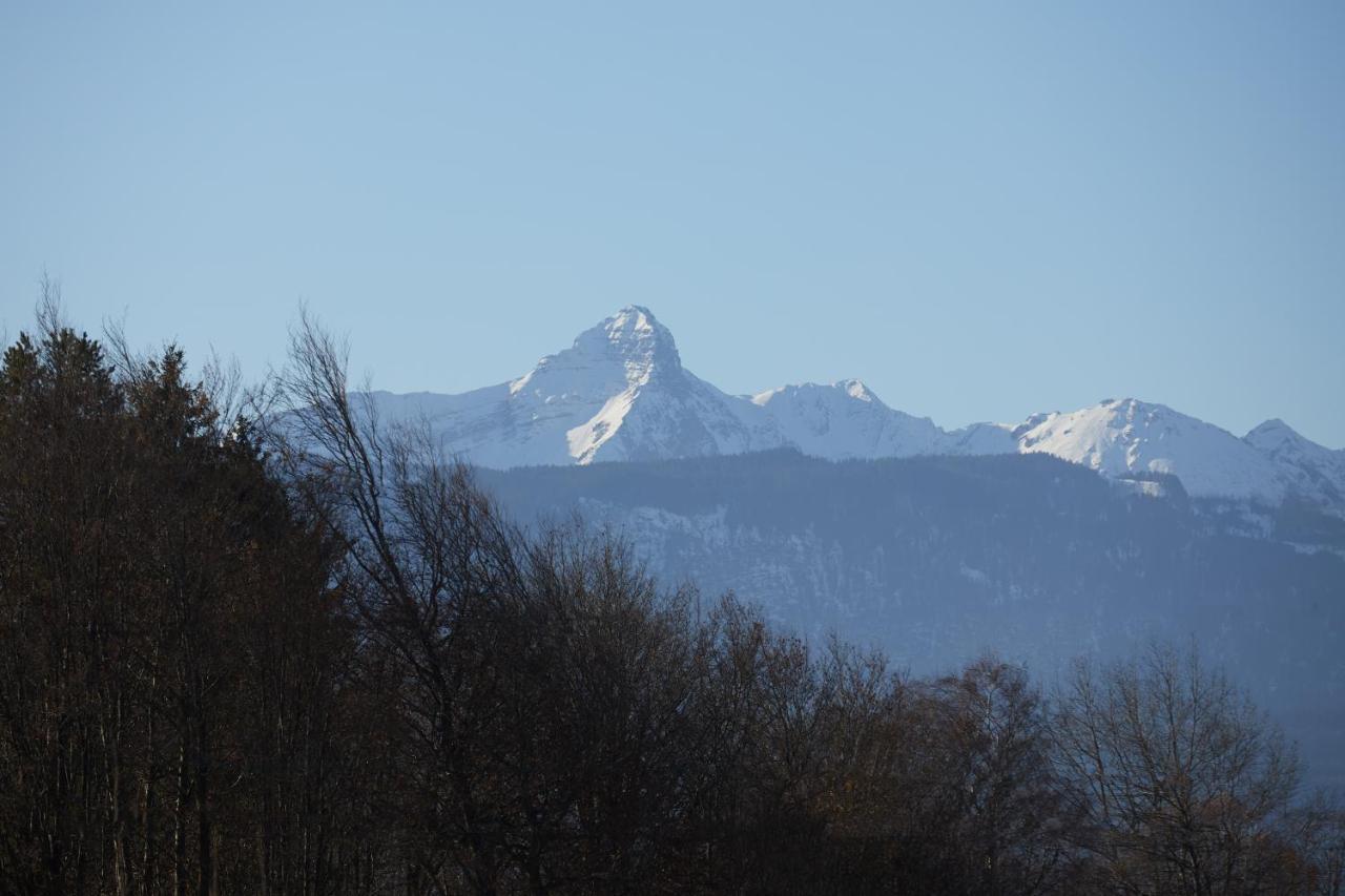 Redlok Apartman Garmisch-Partenkirchen járás Kültér fotó